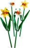 40646 Daffodils