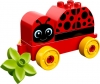 10859 My First Ladybird