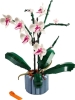 10311 Orchid