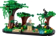 40530 Jane Goodall Tribute