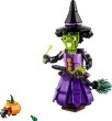 40562 Mystic Witch